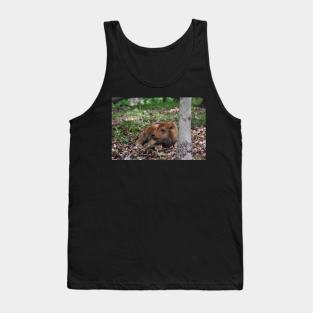 Bison Calf Tank Top